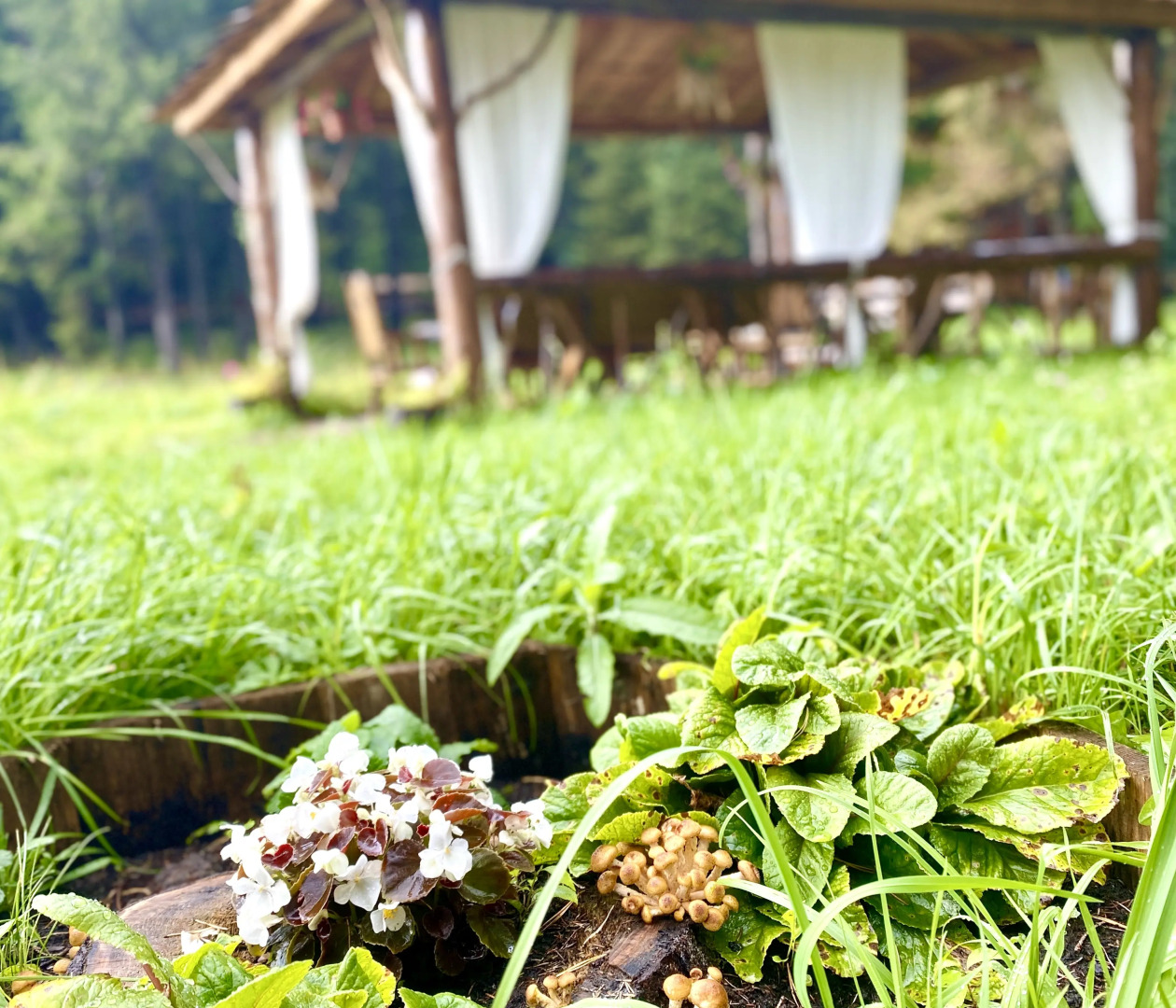 Отель Охотничьи cезоны