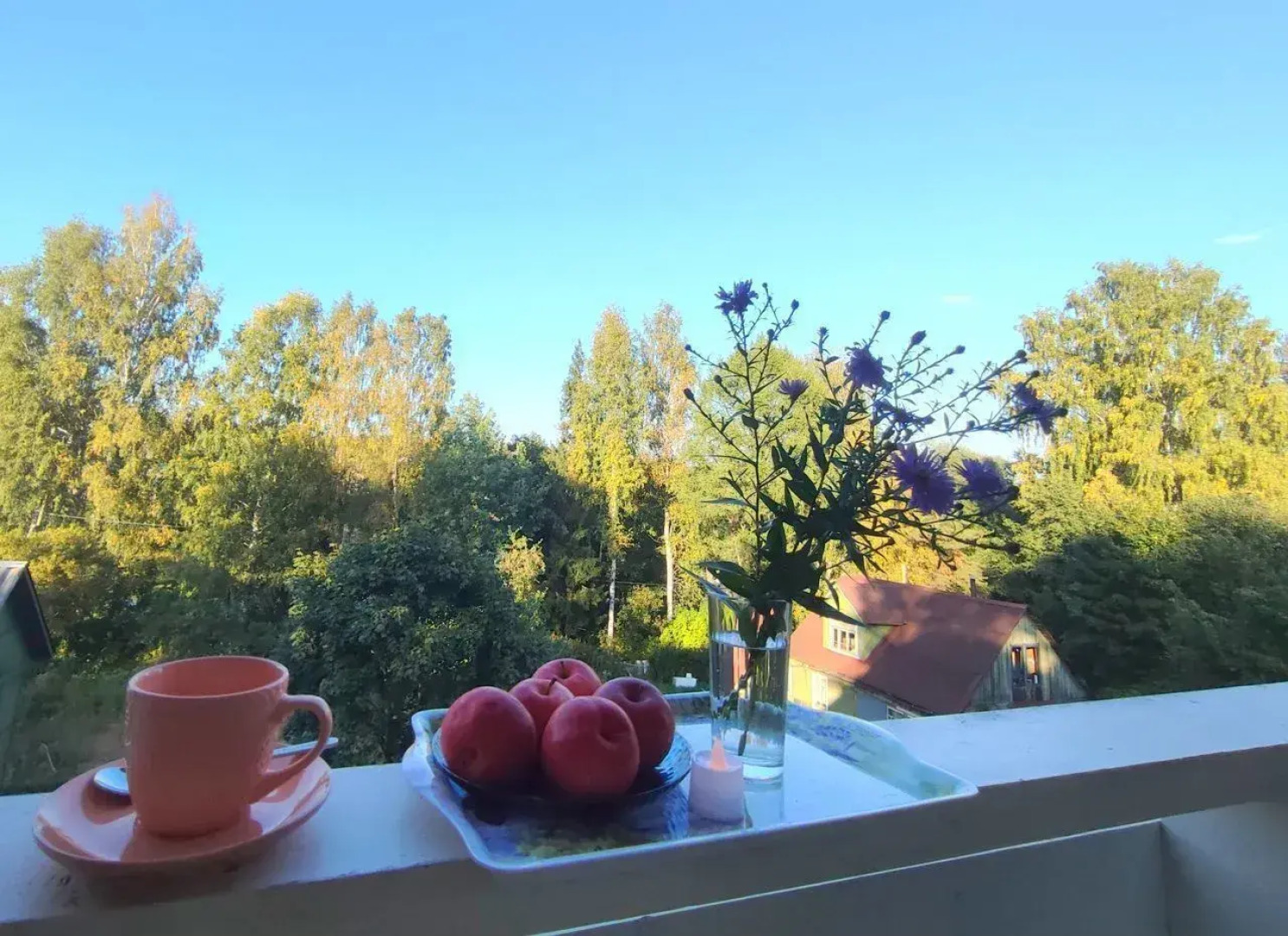 Частный Дом на Лермонтова 13 Поселок Сосново