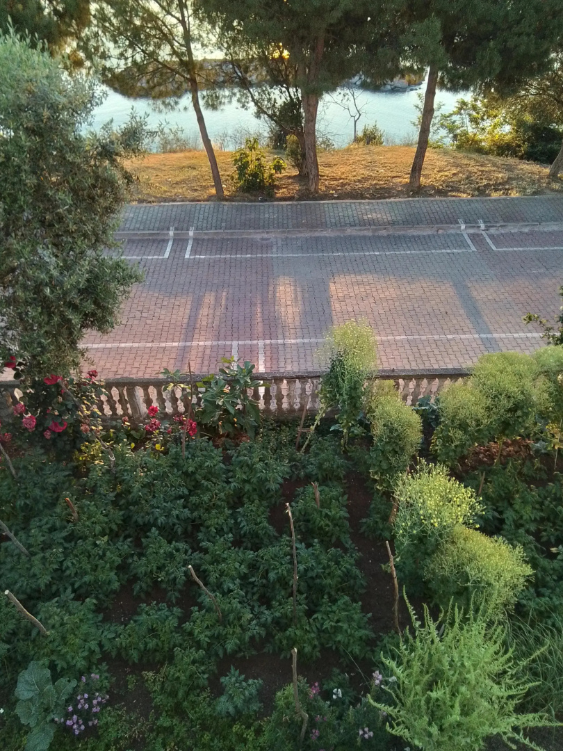 Частный дом Gerze Beyaz Yalı Tatil Evi