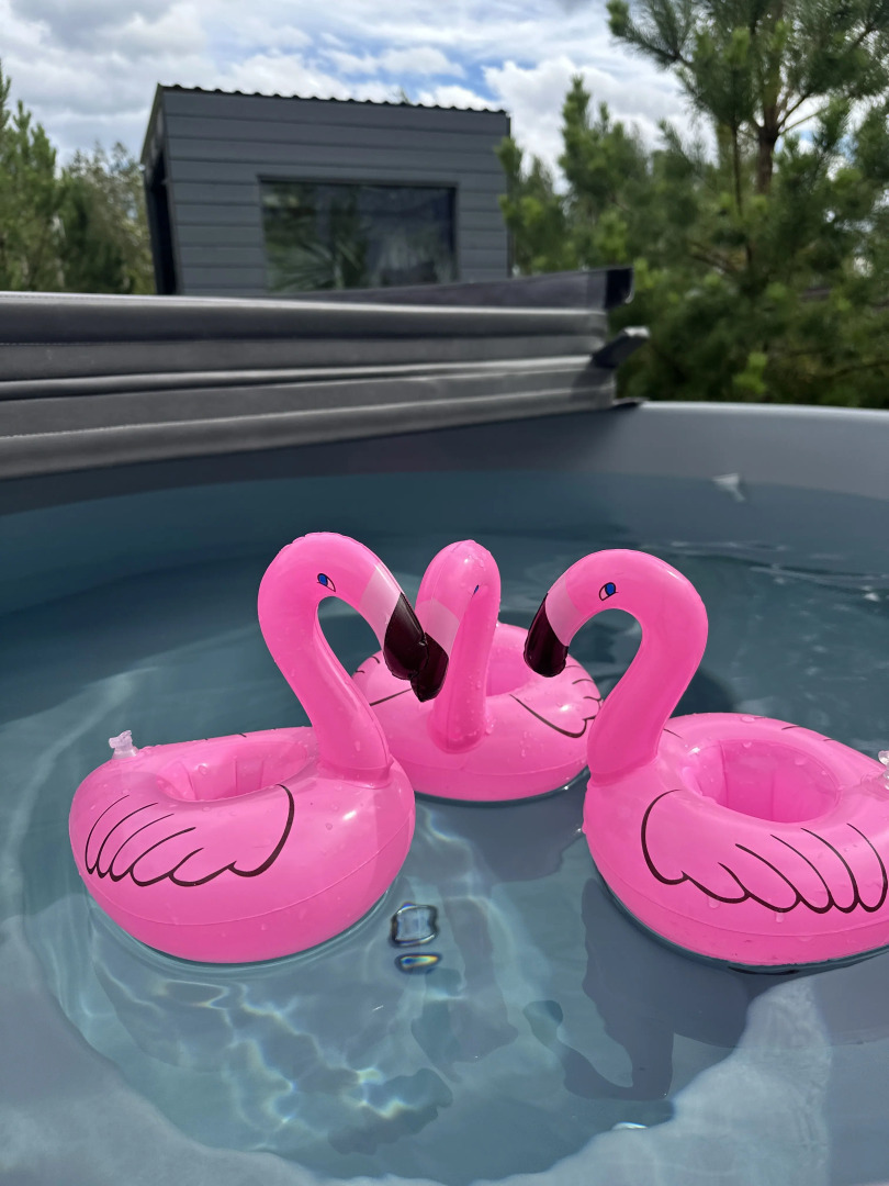 Частный дом Skandi Life