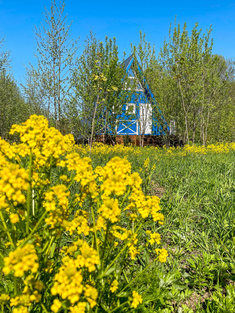 Глэмпинг А у реки