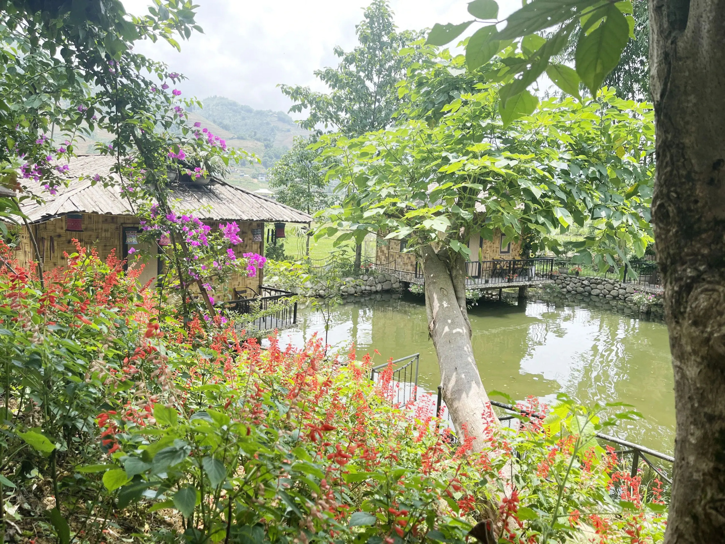 Бунгало Bamboo Eco Sapa