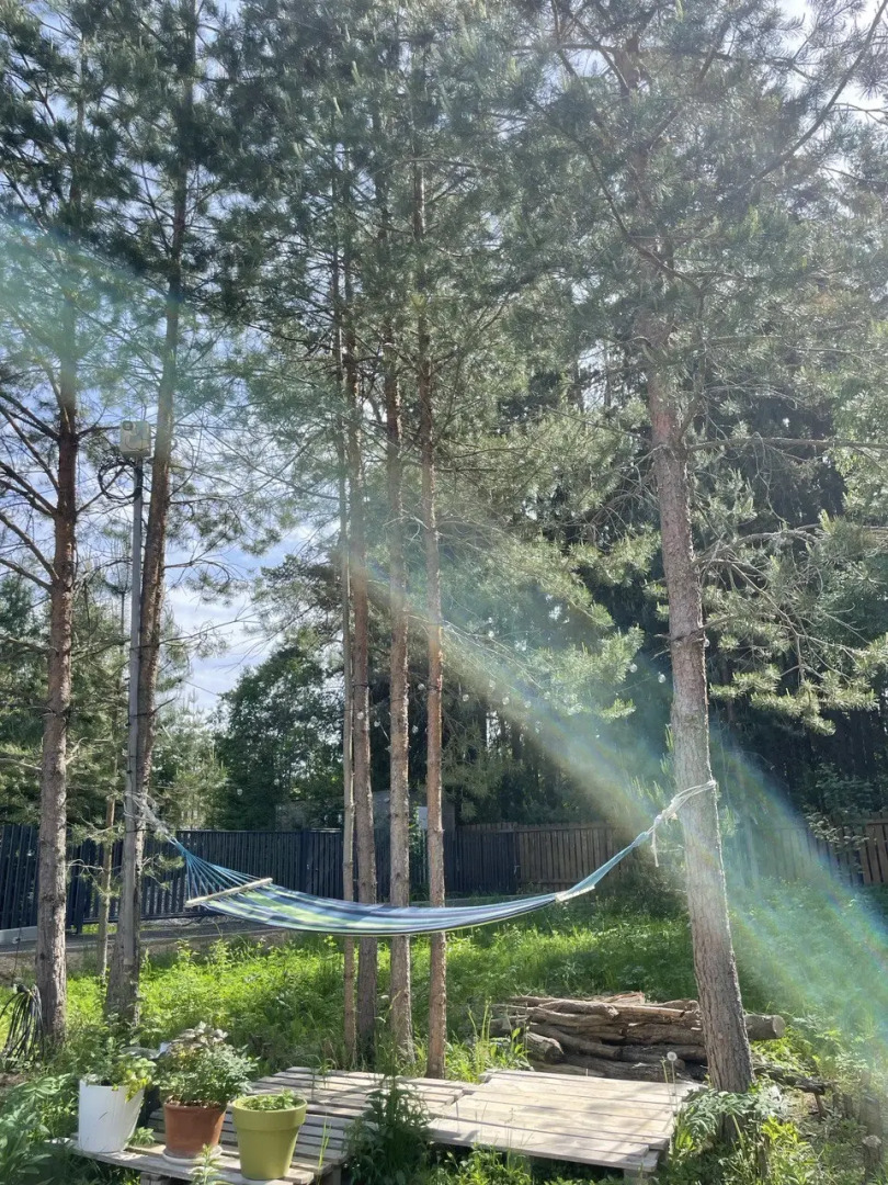 Частный дом в лесу Woodcamp