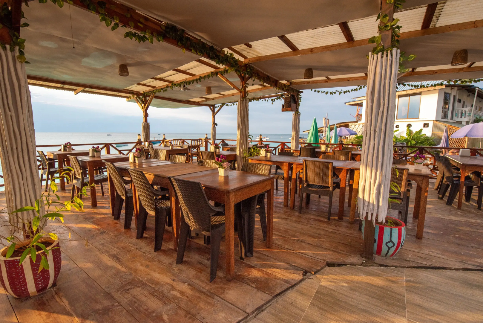 Отель Zenobia Beach Resort