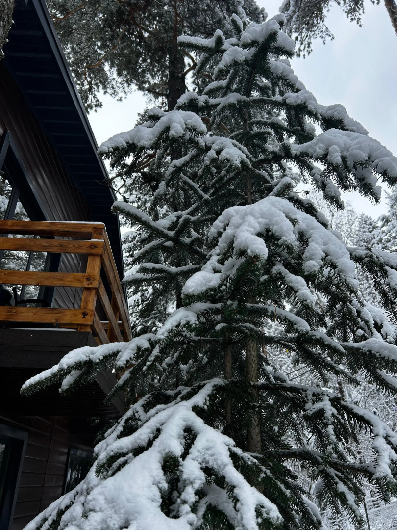 База отдыха Гринвальд 1474