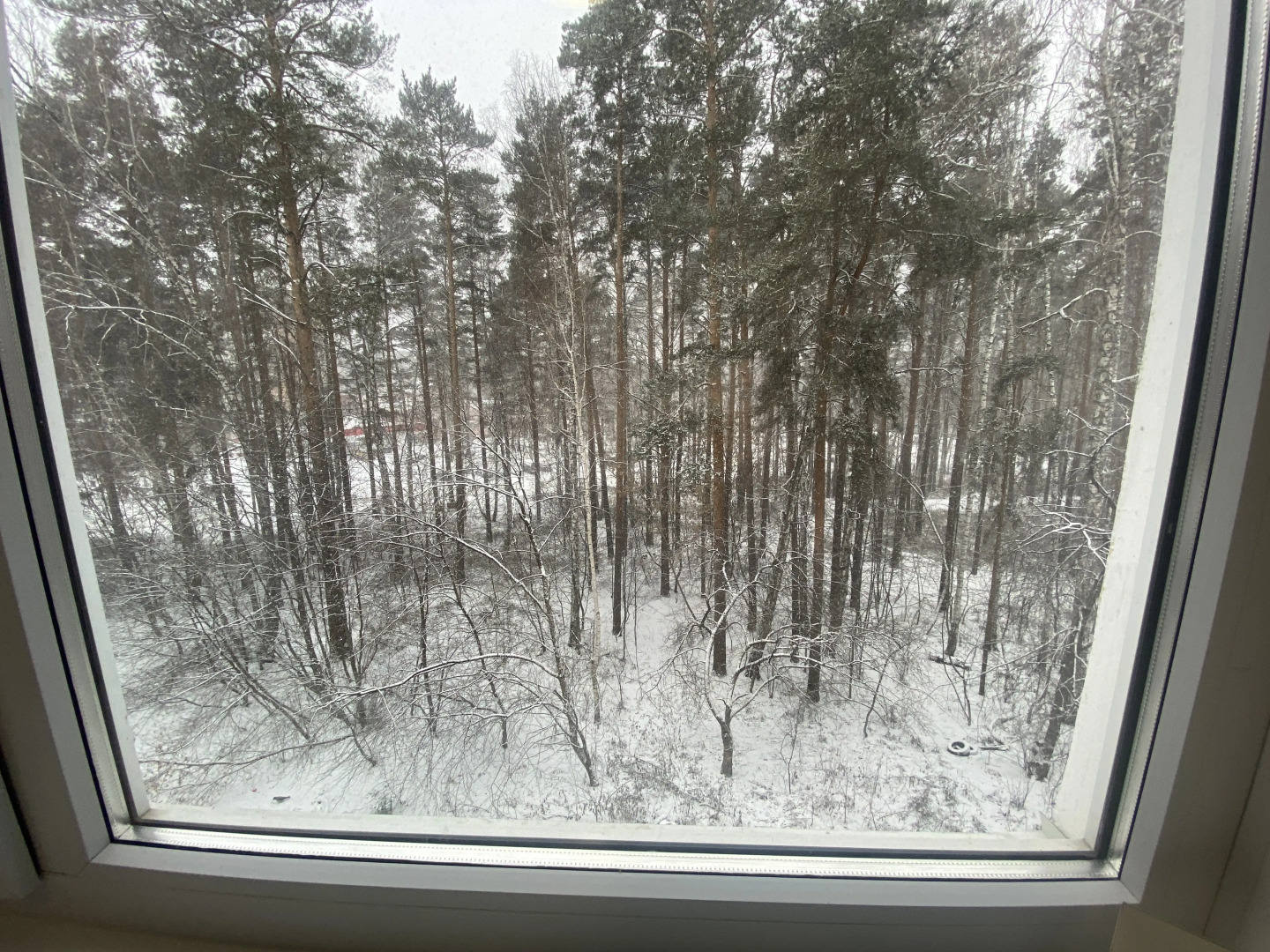 Квартира Жёлтый Нарцисс 2 комн. в центре г. Заречный