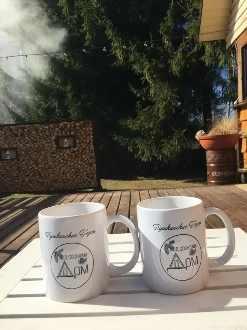 Гостевой дом Под соснами