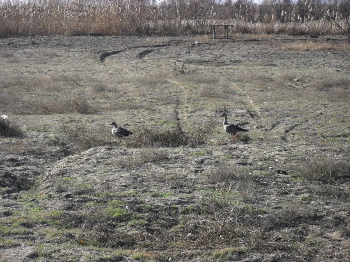 База Отдыха Волчок