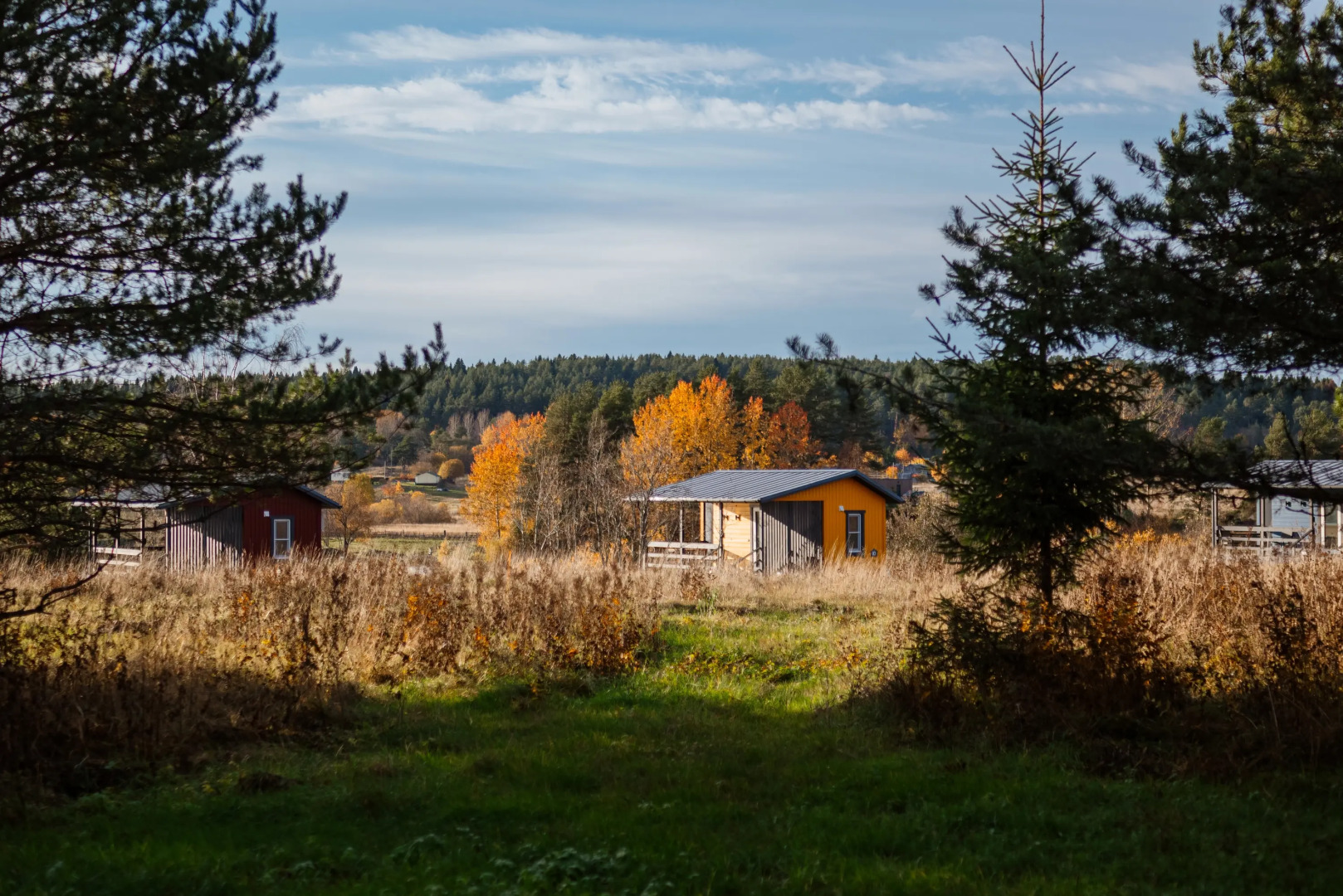 Глэмпинг Ягодная Деревня