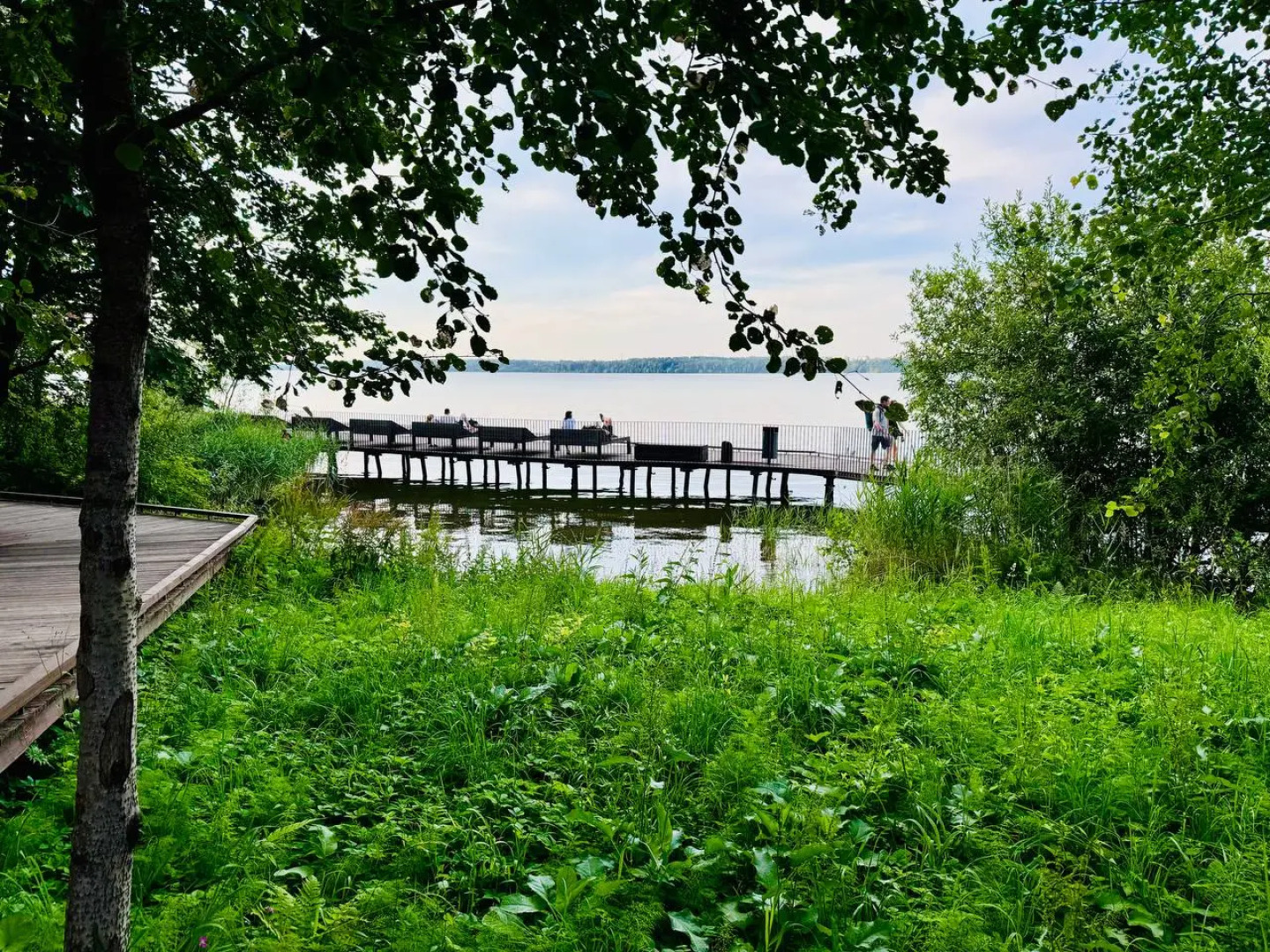 База отдыха Домики