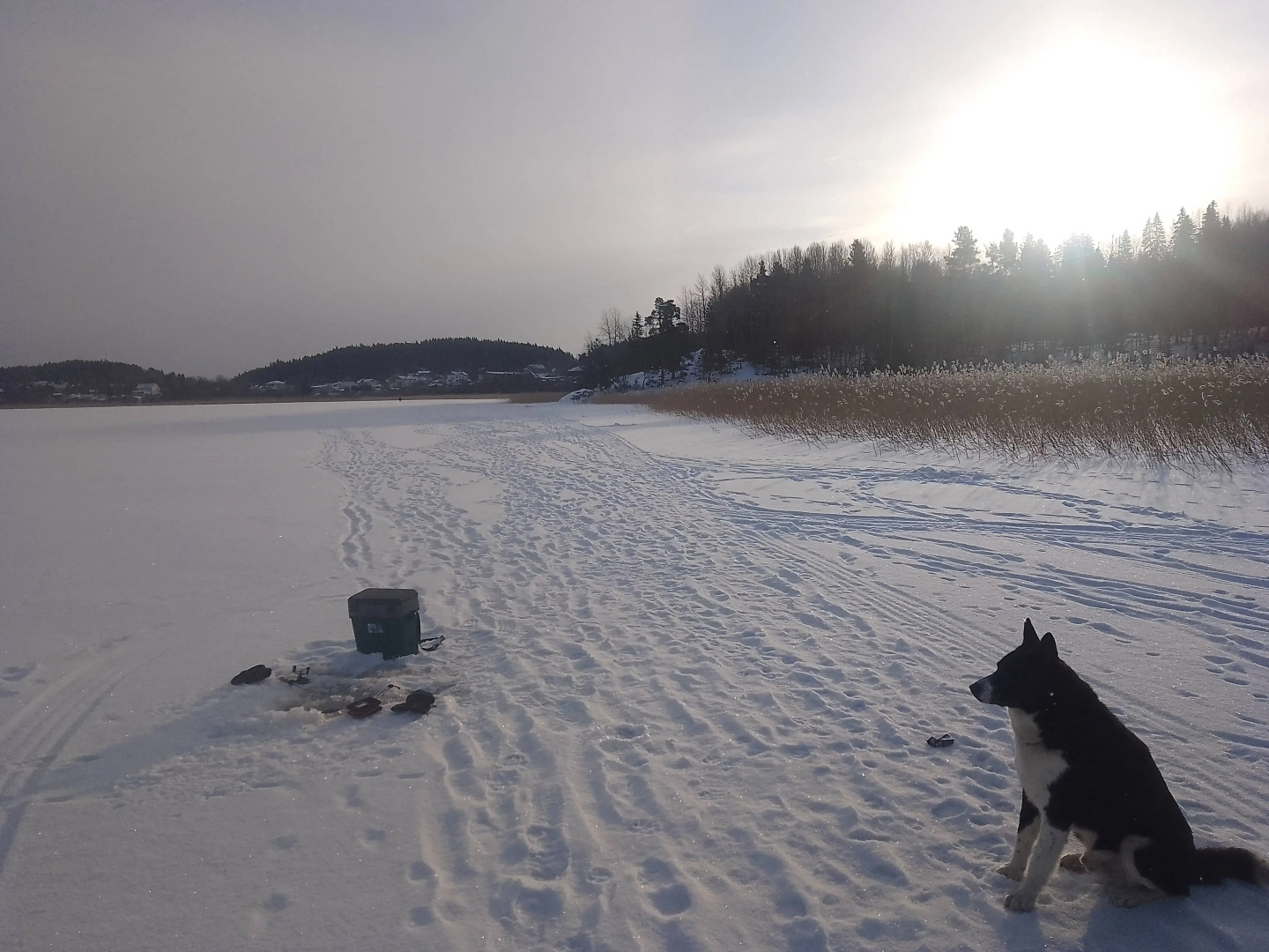 Гостевой дом с сауной Карелия-Ярви