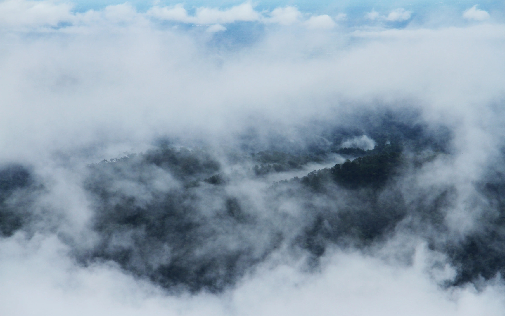 Отель Blackwood