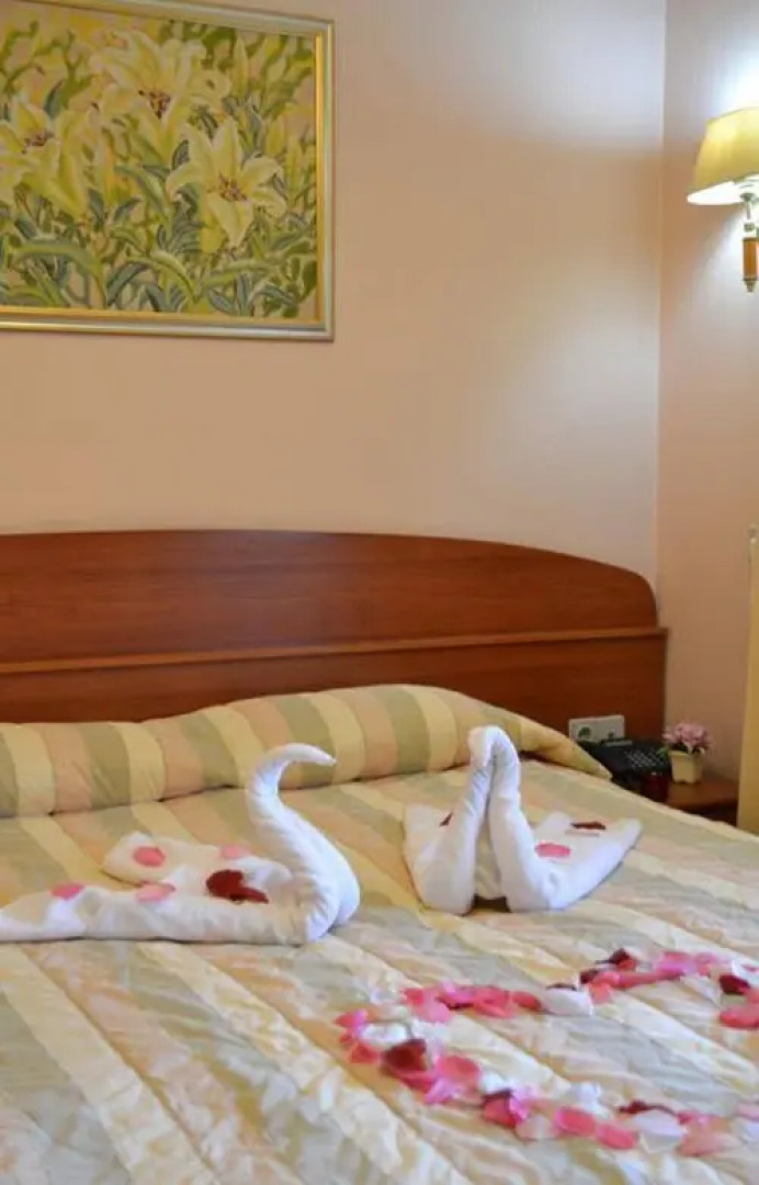 Мини-отель Александровский парк-отель