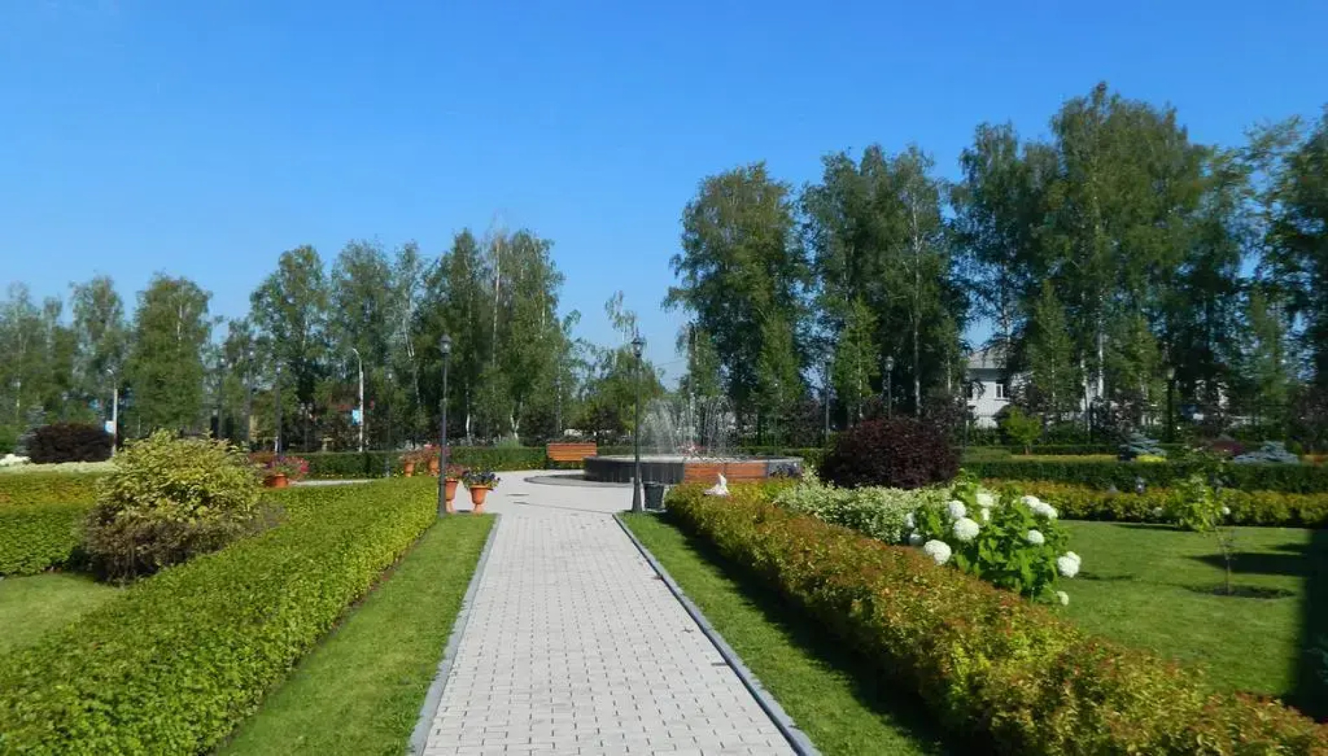 Вега Бизнес