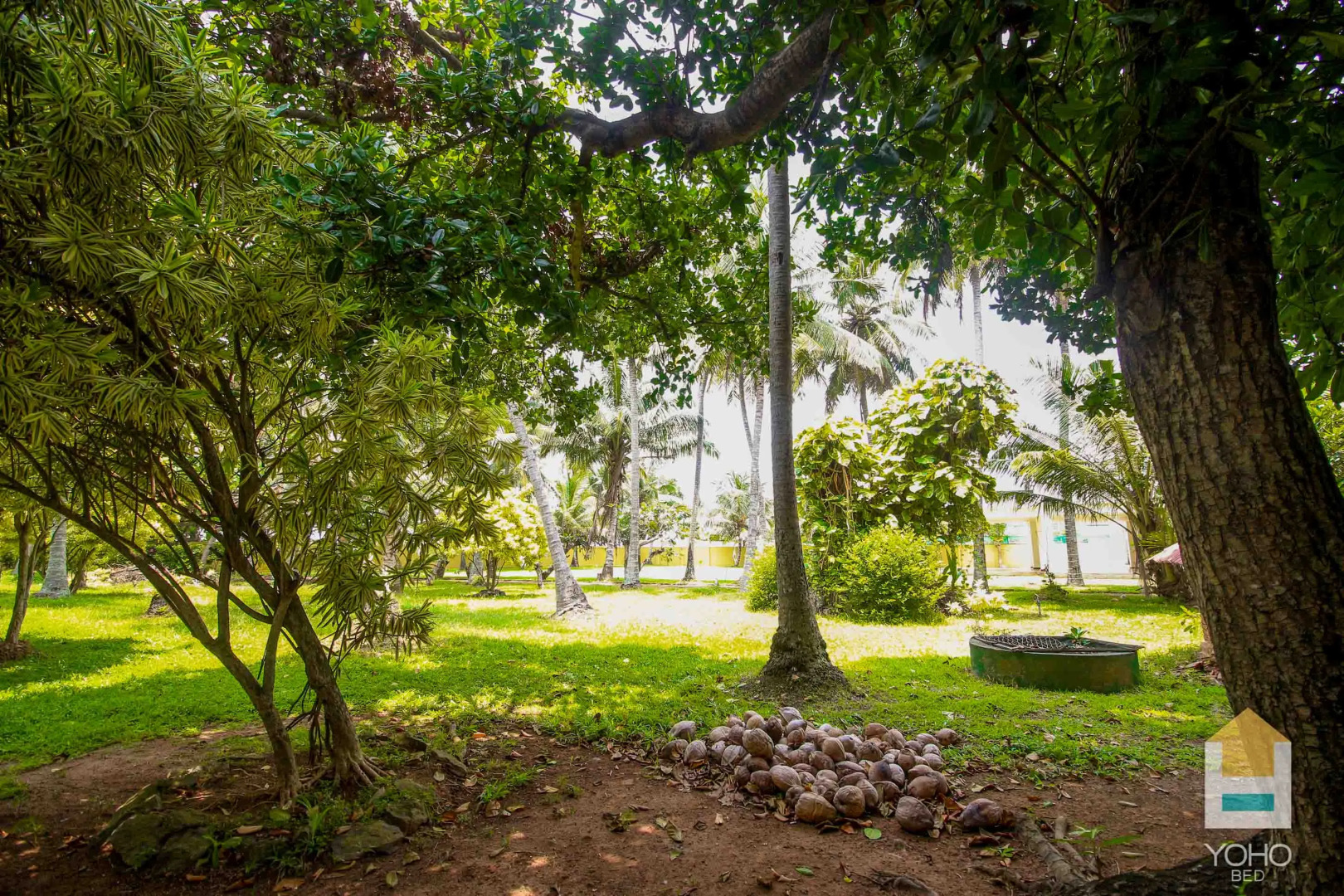 Отель Yoho Rivi Ras