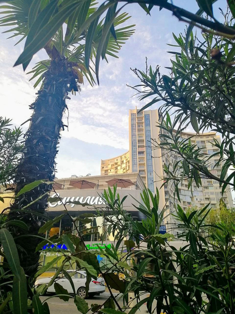 Апартаменты с шикарным видом на море