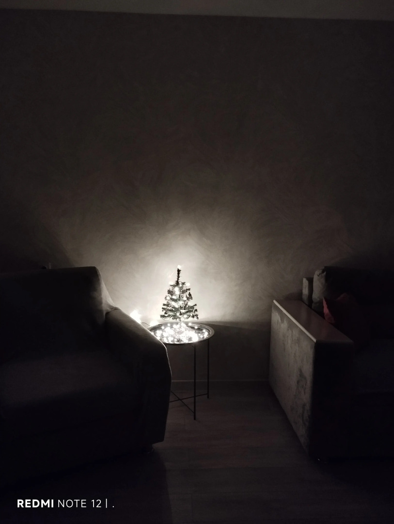 Квартира Светлая