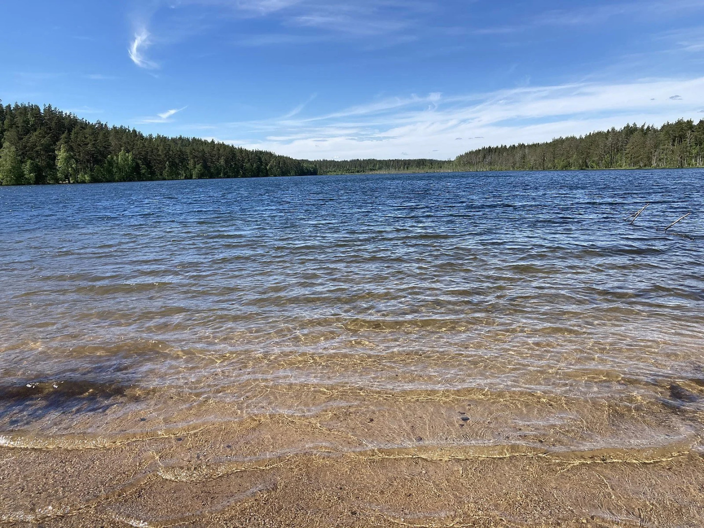 Частный дом Таунхаус в Репино