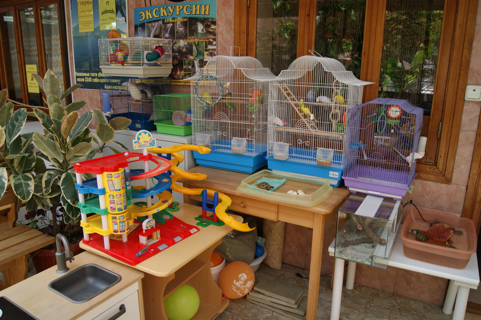 Гостевой дом семейный клуб Арго