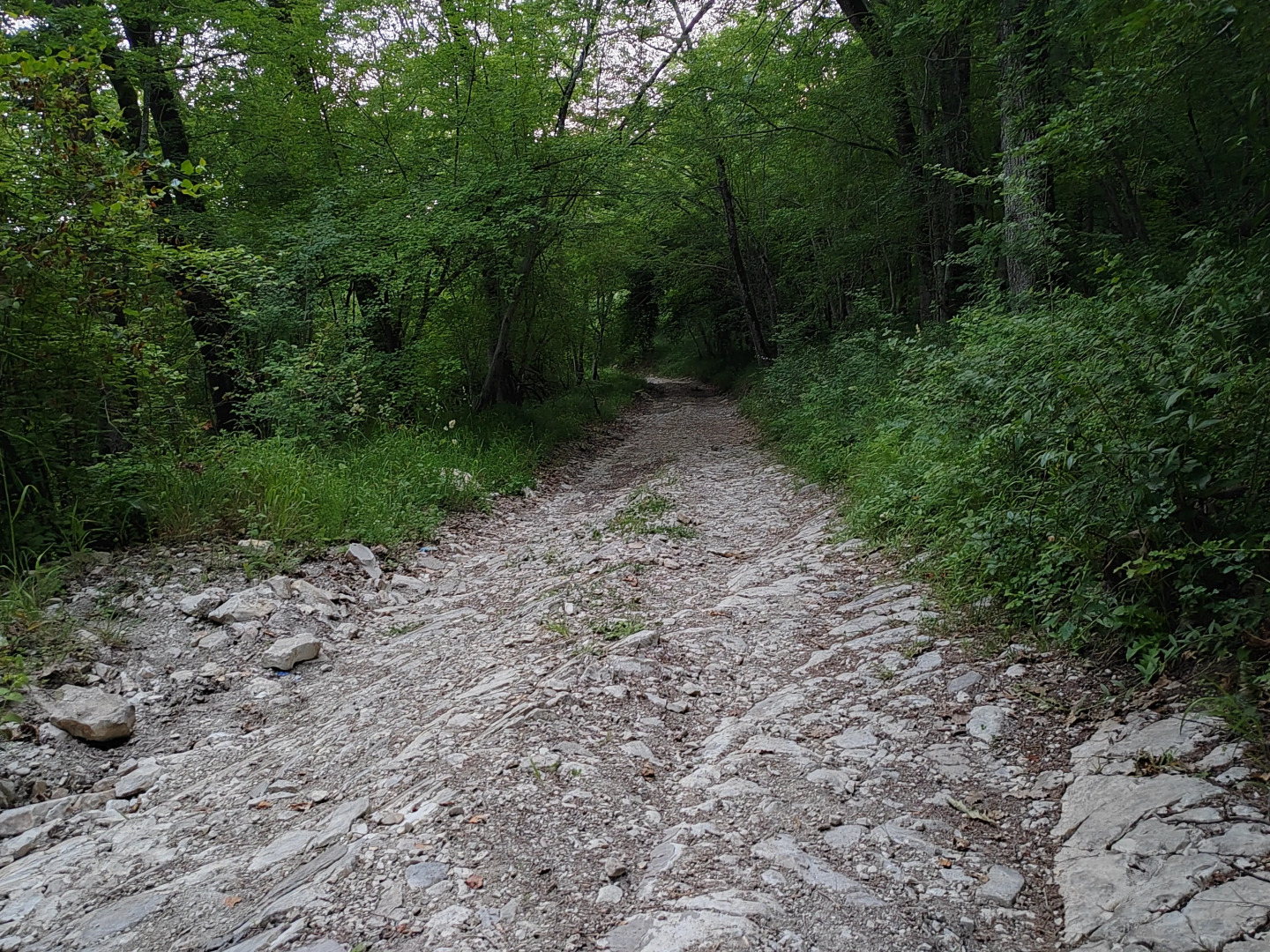 Гостевой дом Сола