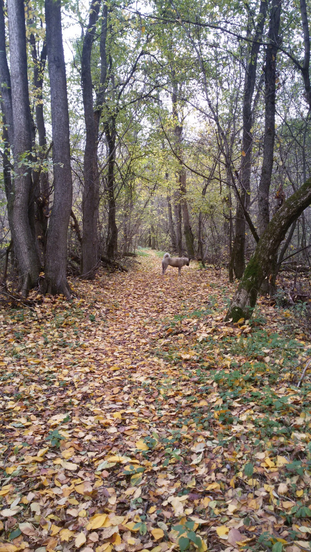 Гостевой дом на Есенина