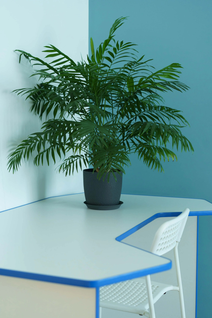 Квартира 2-к Шикарная Рядом с Рощей