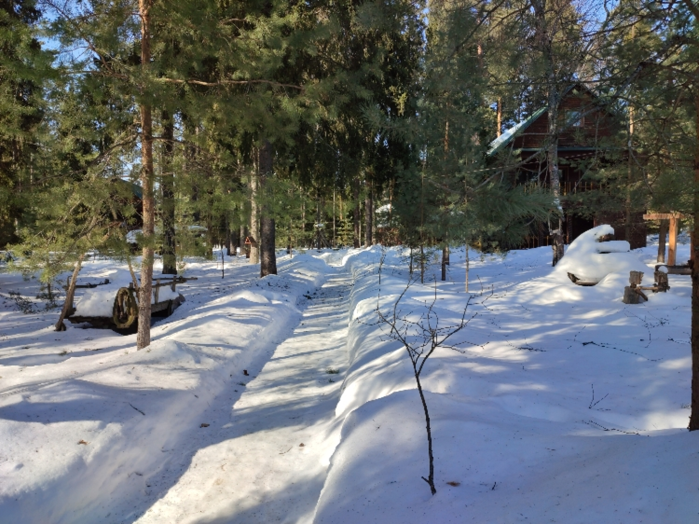 База отдыха Плещеево