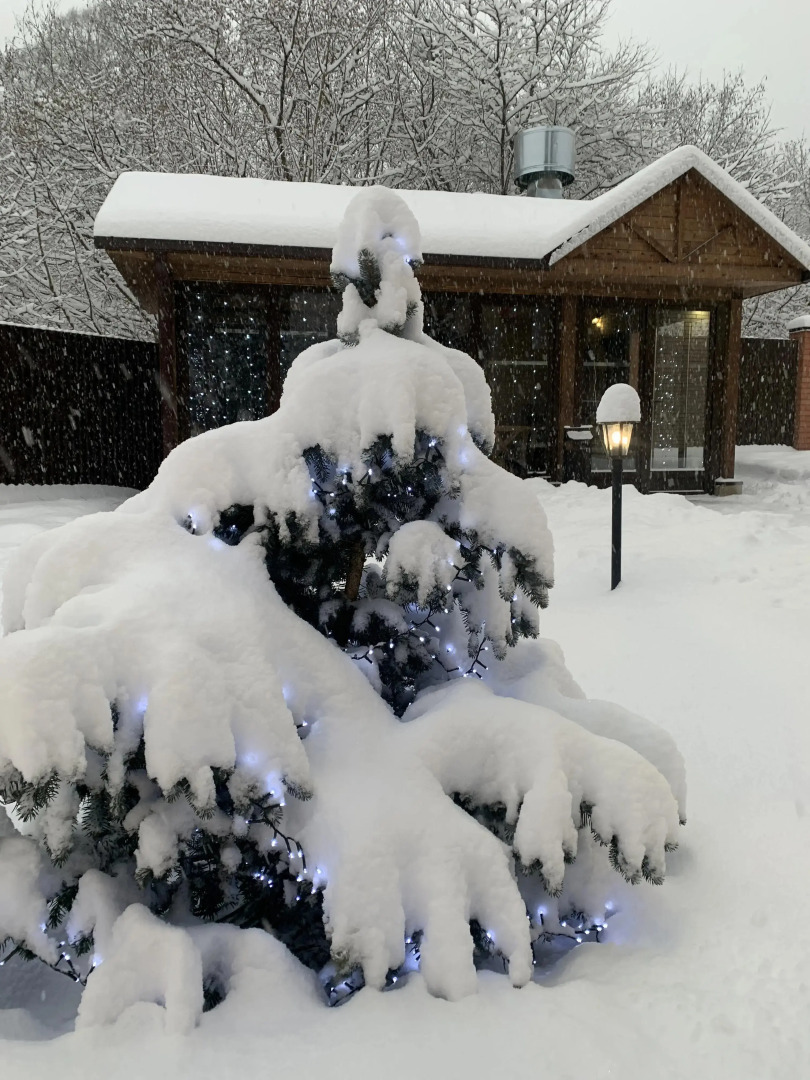 Гостевой дом Эдем