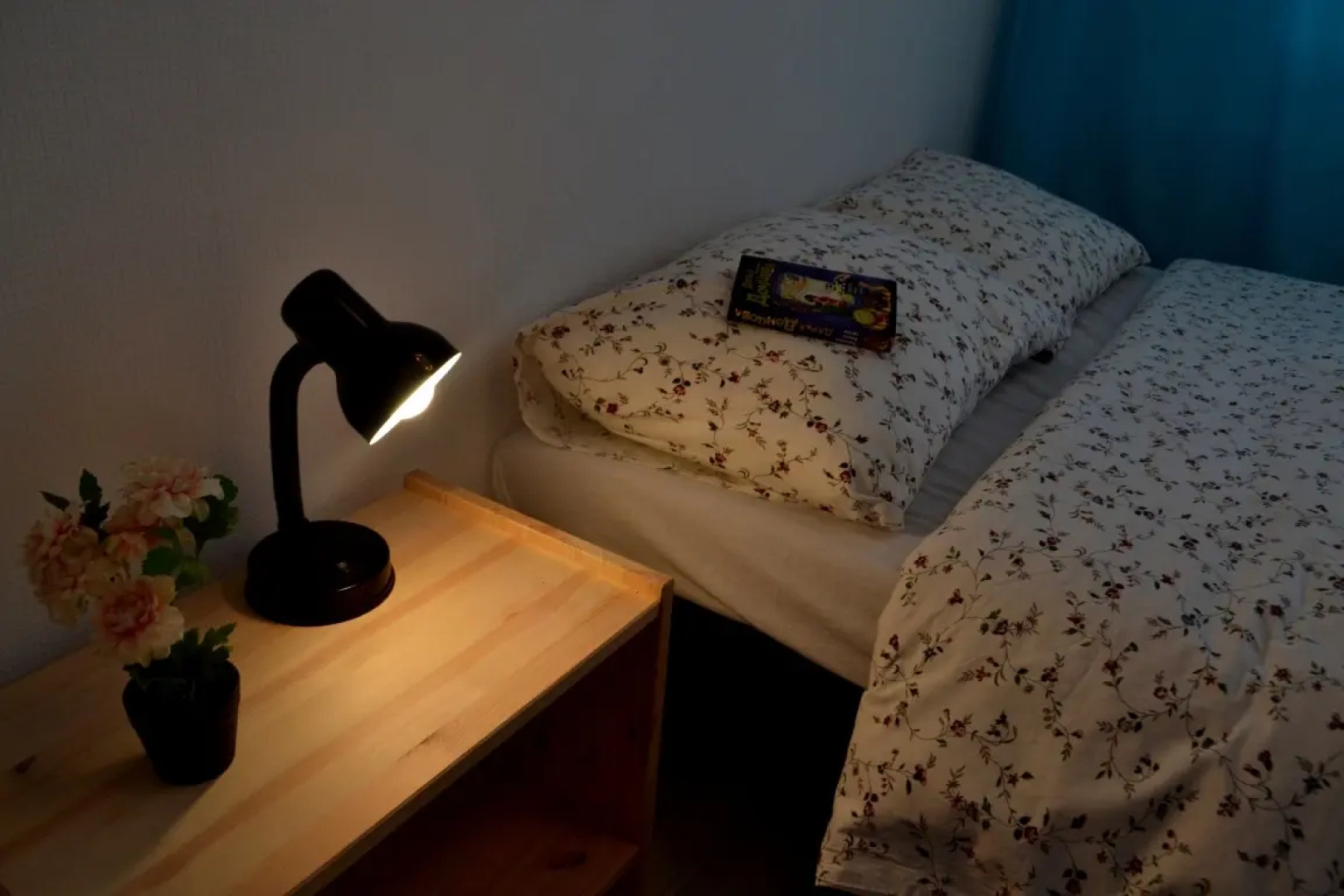 Апартаменты Полет