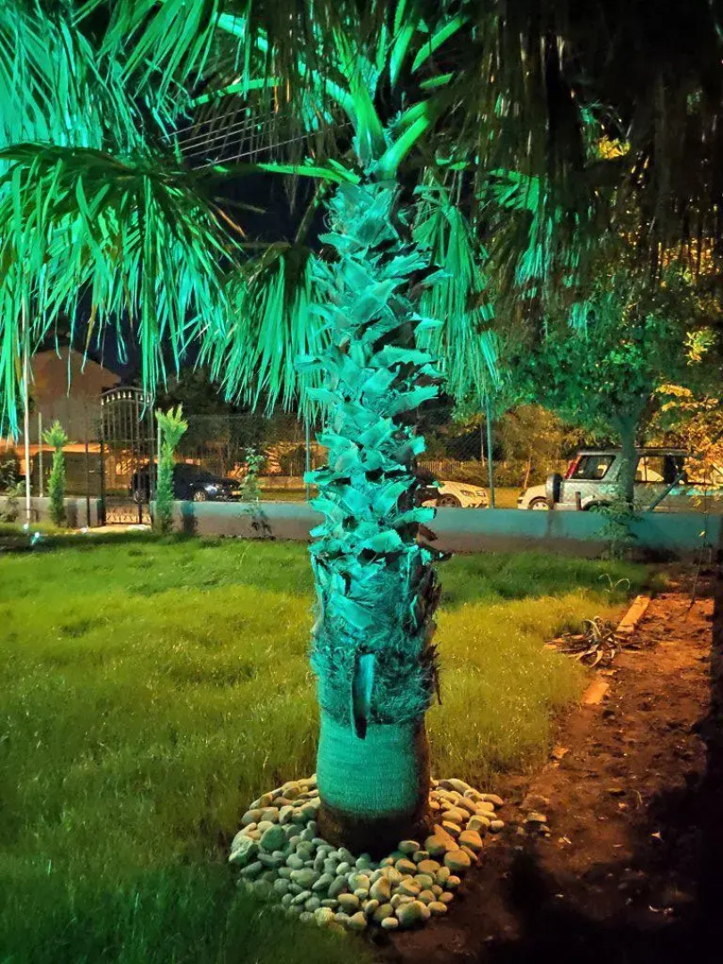 Бутик-Отель El Mundo Suites