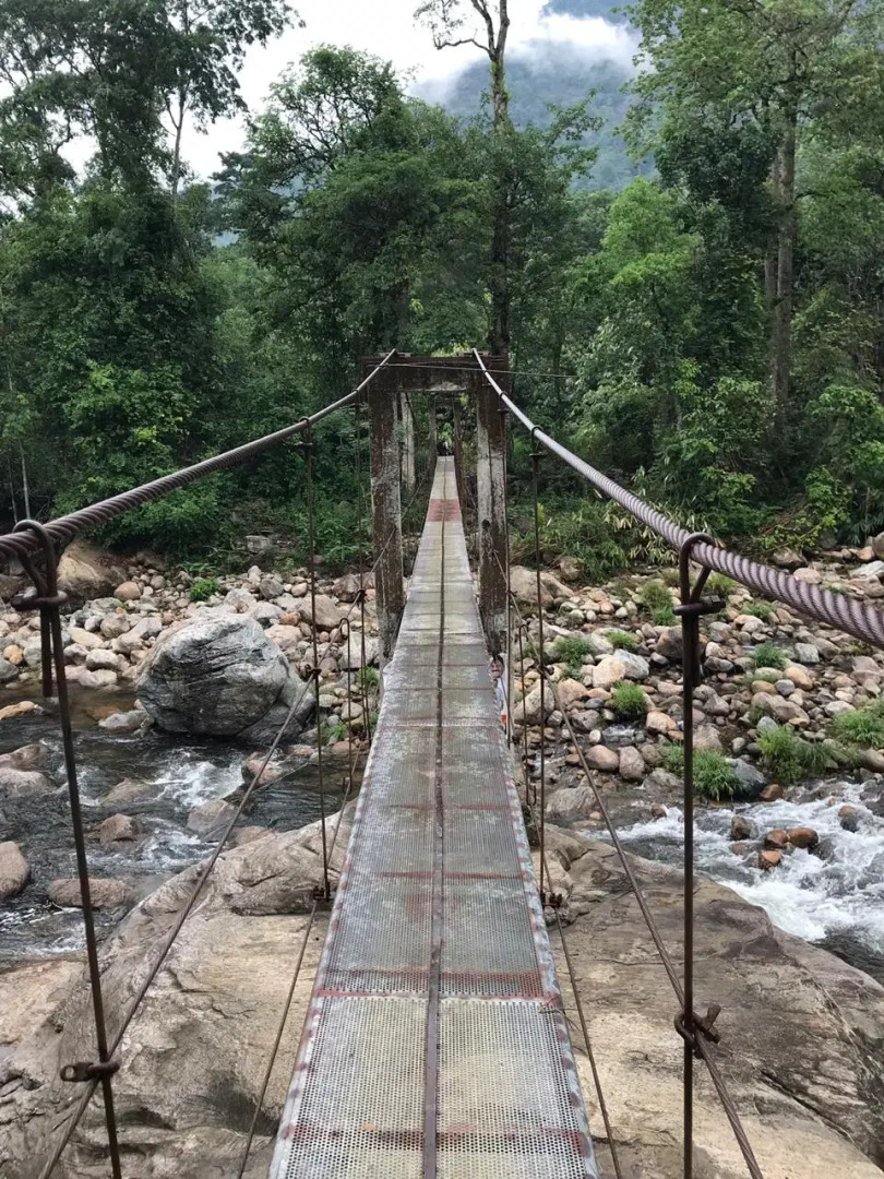 Moon Hill Resort Munnar ( Nature Retreat )