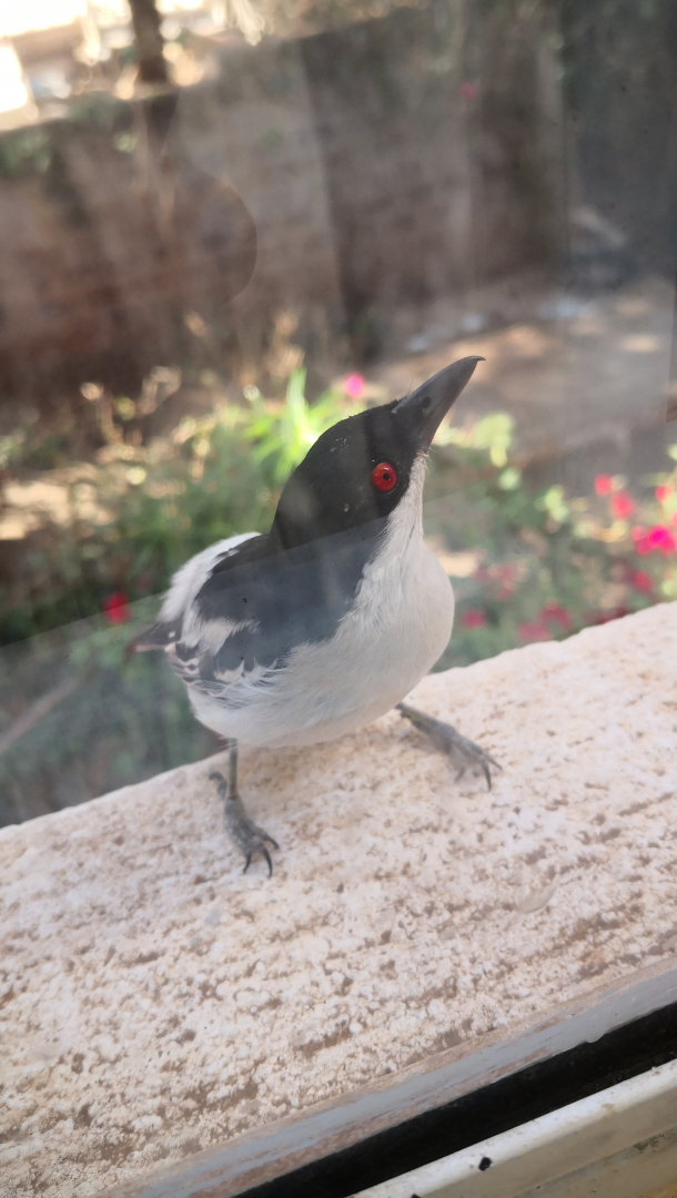 Charming Home / Bed and Breakfast