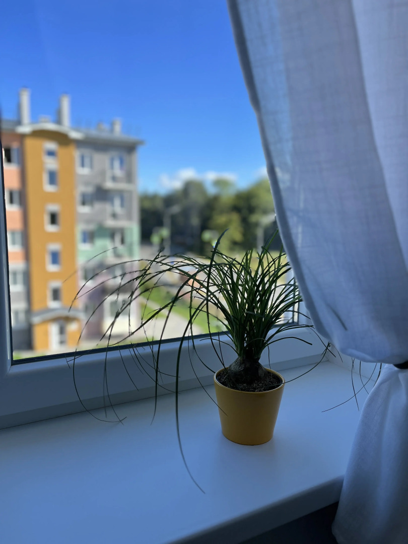 Квартира у моря