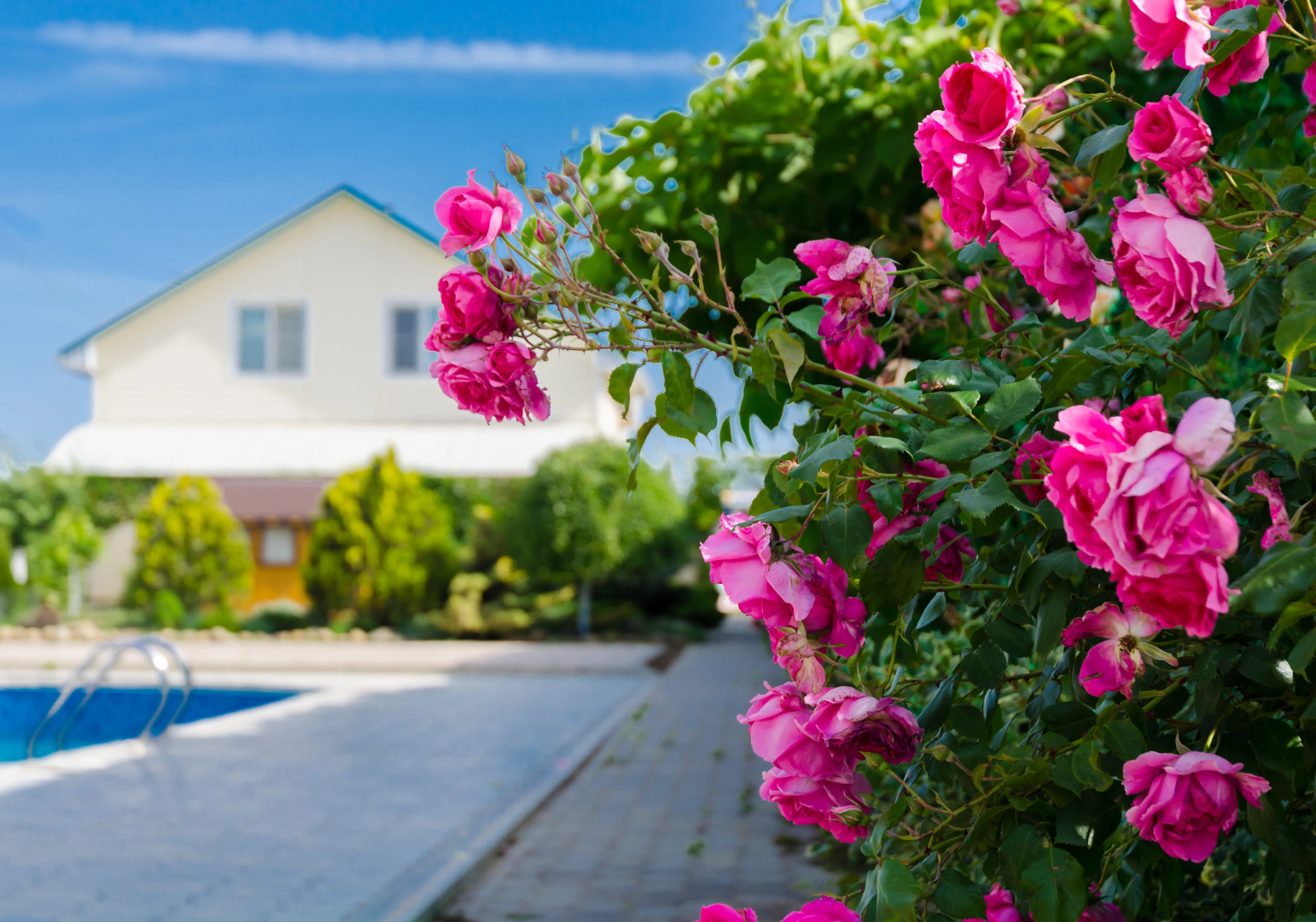 Гостевой Дом Гелиос