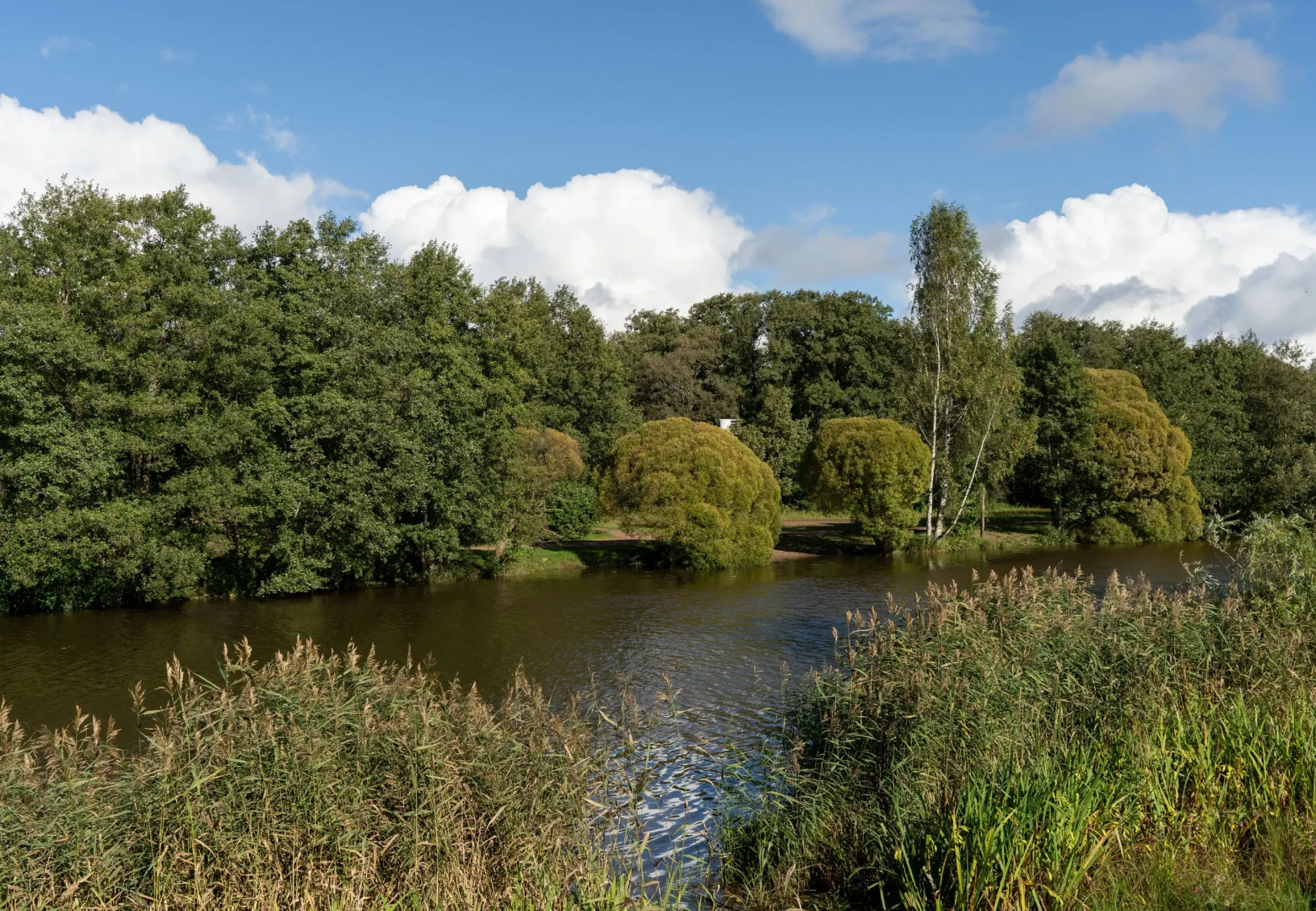 Апартаменты рядом с Финским заливом в Сестрорецке