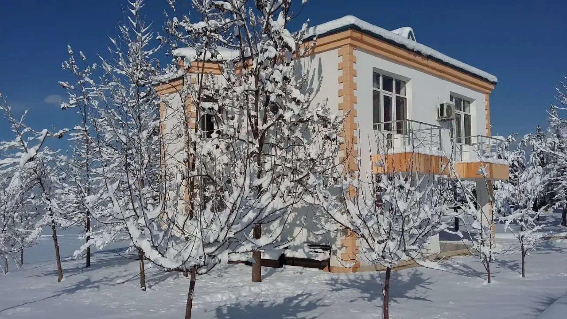 Отель Arena Ismayilli