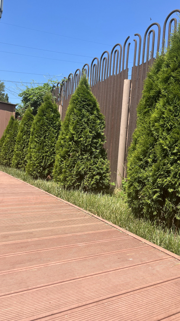 Отель Гостиница Западная