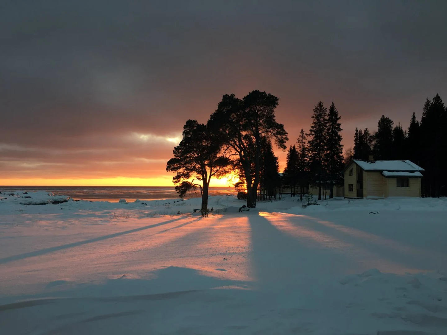 Отель Cedar Grass Белое Море