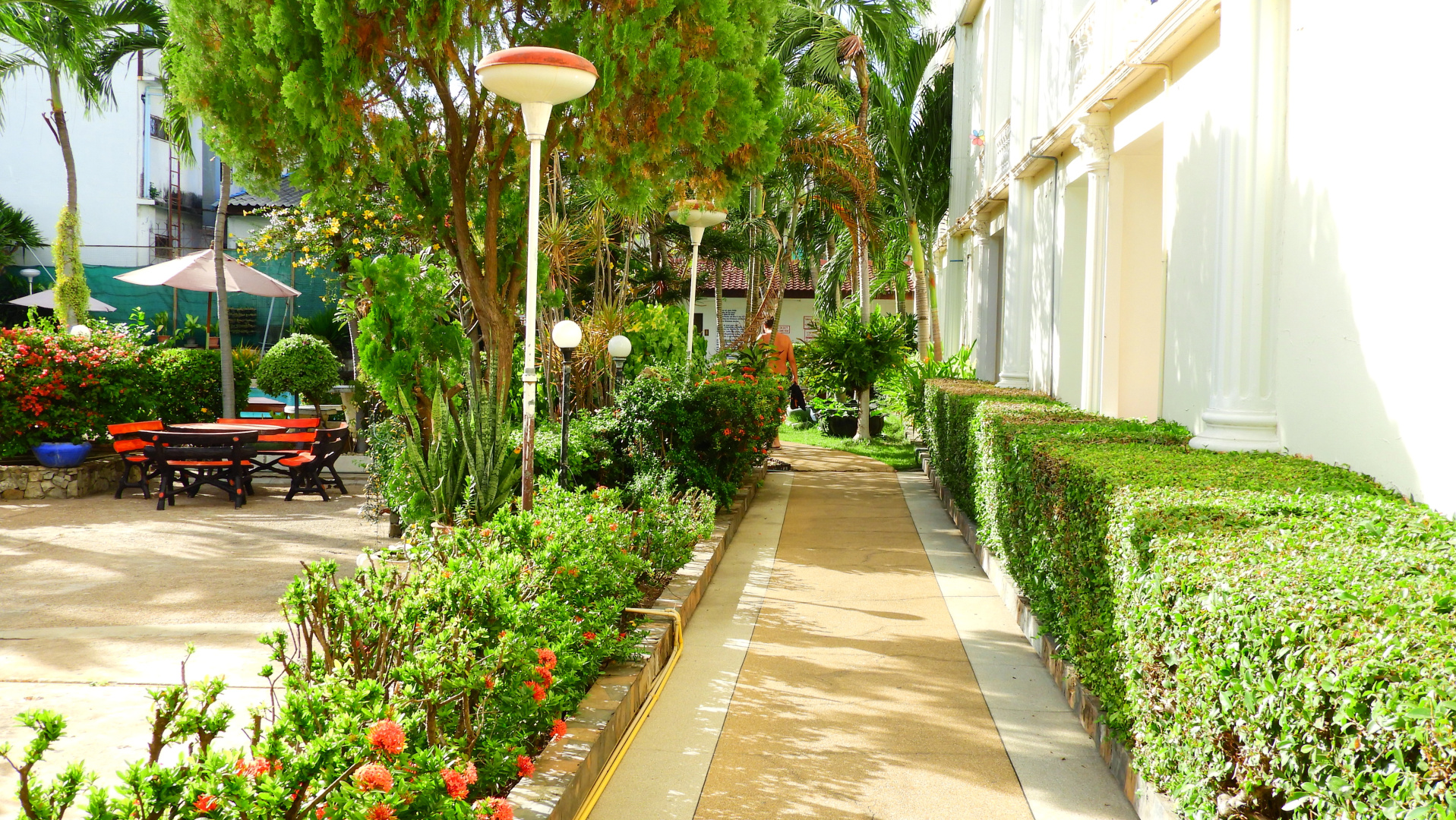 Отель Romeo Palace