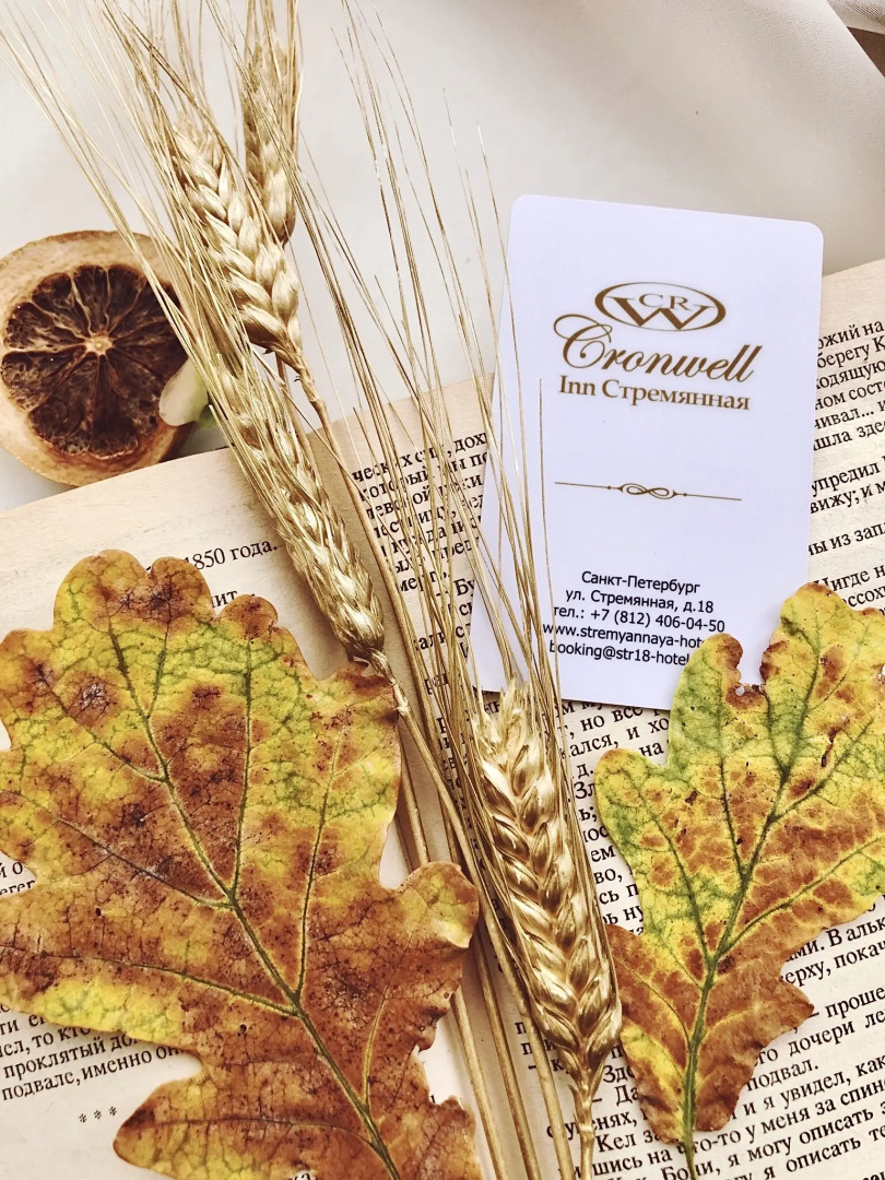 Отель Cronwell Inn Стремянная