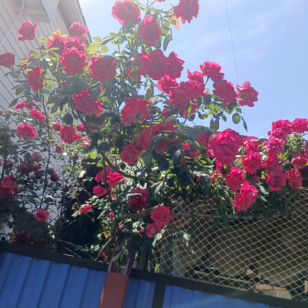 База отдыха ЛАГУНА