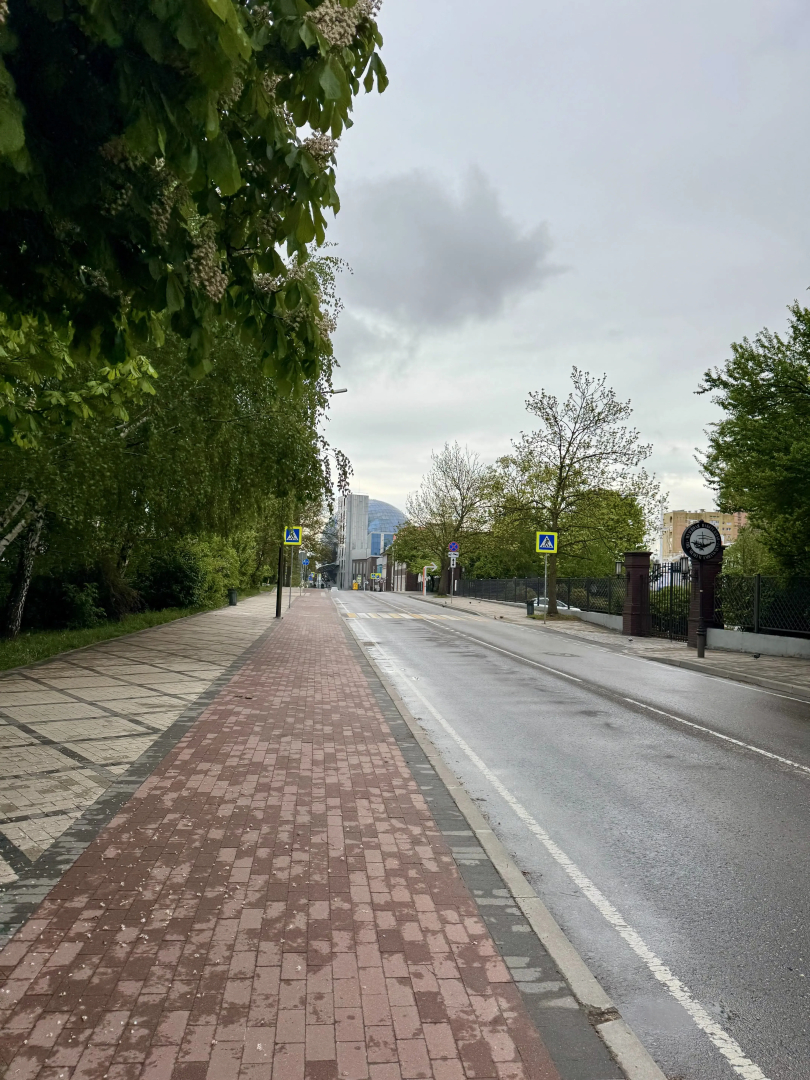 Квартира Zeninapart