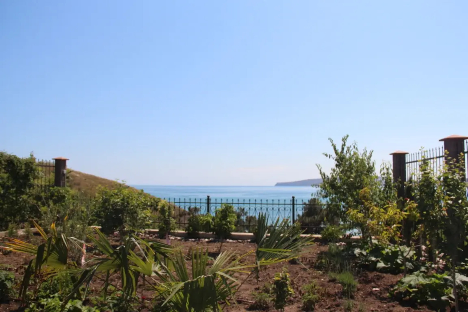 Апартаменты Авокадо 1