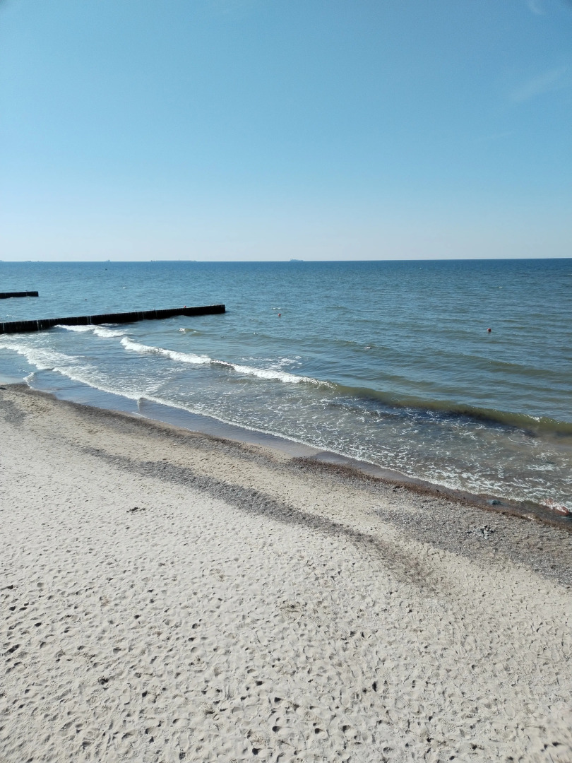 Квартира Апартаменты Роза Ветров Зеленоградск