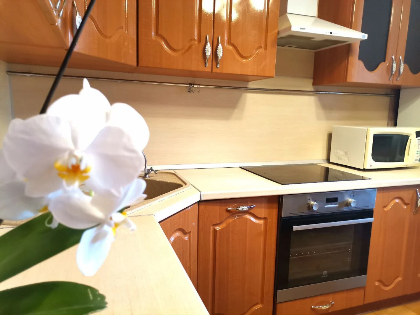 Апартаменты Северное Сияние на Щорса 4