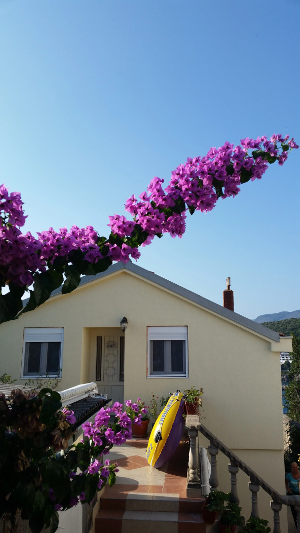 Гостевой Дом Carpe Diem