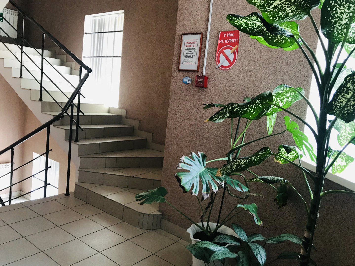 Гостевой дом Альфа