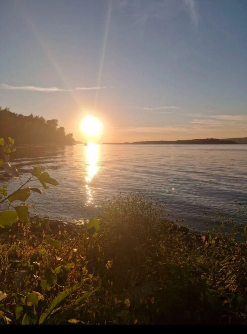 Гостевой дом Усадьба Семейная
