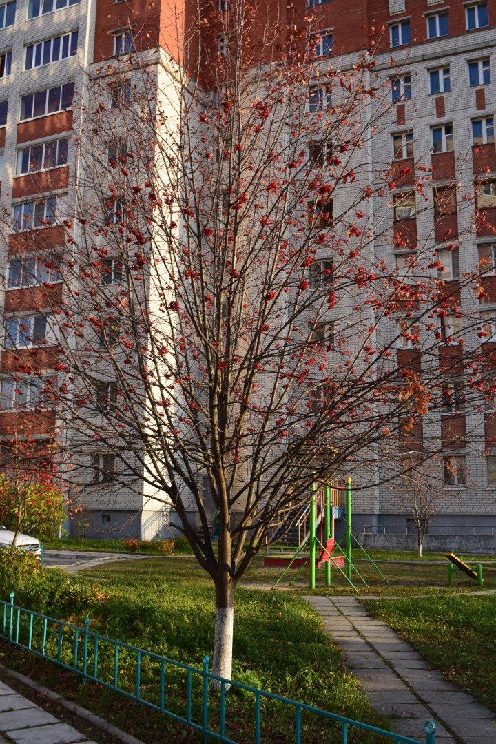 Хостел Гагарин