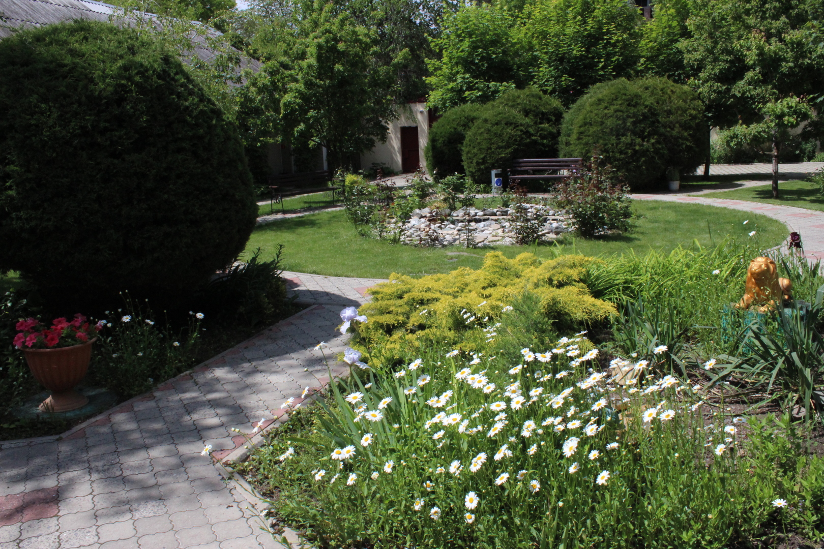 Отель Золотой Лев